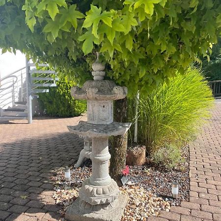 Gemuetliche Wohnung Idyllische Lage Naehe Frankfurt Alzenau in Unterfranken Buitenkant foto